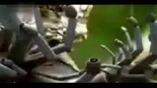 伊人久久精品无码AV一区二区三区