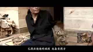 高清男同 高清男同个人认同探索