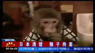 高质量每日更新 以下是一些推荐的方向和平台