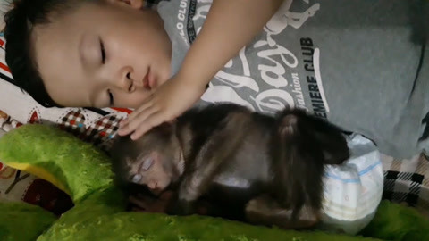 日本极品粉嫩小泬337P图片