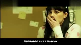 欧美日韩无线码