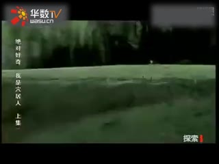 视频篇 视频篇After Effects（特效）