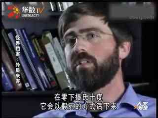 2020国产精华国产精品