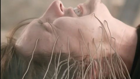 无人区在线中文字幕,中文天堂最新版www官网下载