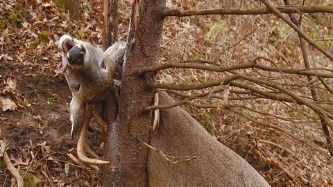 水疗spa视频 水疗对健康的水疗a视益处等