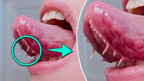 久久精品亚洲成a人