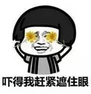 手机看片欧美日韩