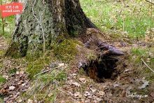 网红泄密吃瓜，网红泄密吃瓜网 即可浏览和参与大多数讨论