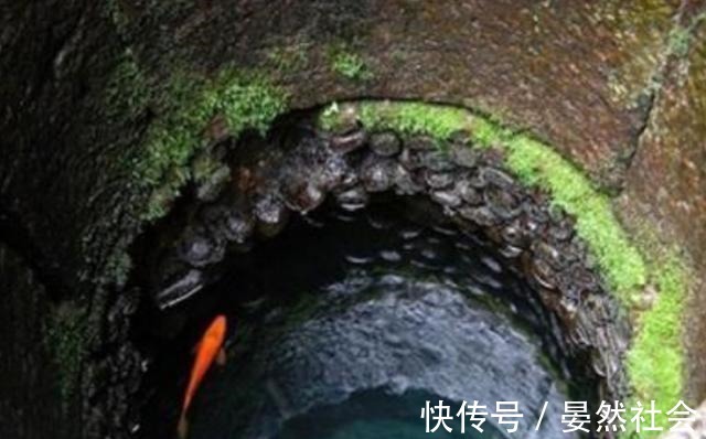 惠惠子 如果你能提供更多背景信息