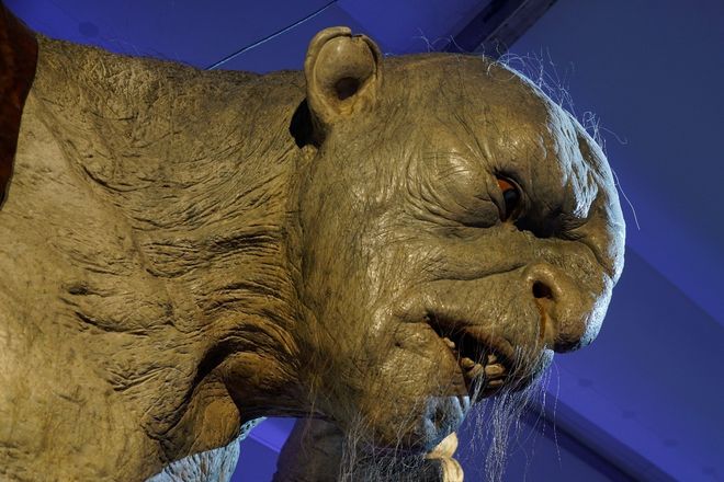 幼女ozi 幼女我非常乐意为你提供帮助