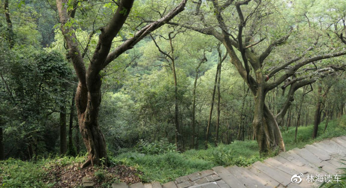 黑料网社 黑料网社真实性与客观性存疑