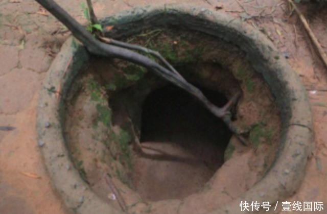 定制热舞在线观看 他们可能提供过往作品展示