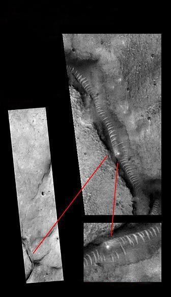 蜜臀精品国产高清在线观看