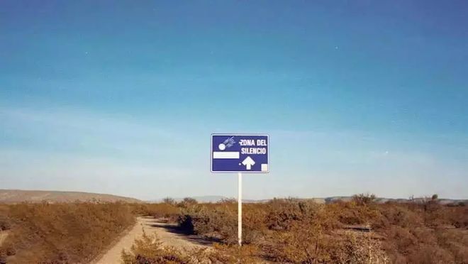 困困狗长什么样子