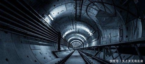 免费三级现频在线观看播放