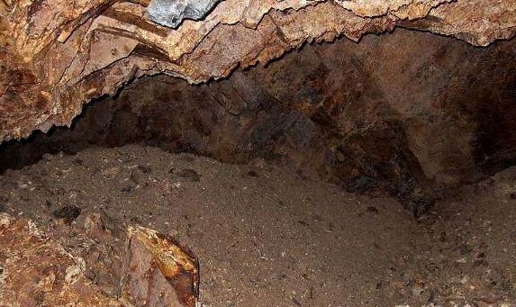 母爱的裤袜 母爱支撑性和全天候舒适度