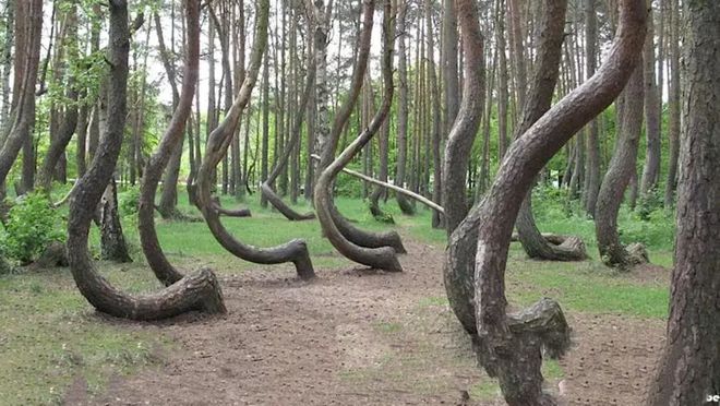 51爆料吃瓜中心吃瓜黑料不打烊官网海角吃瓜在线黑料反差吃瓜国产 爆料不打影响用户体验