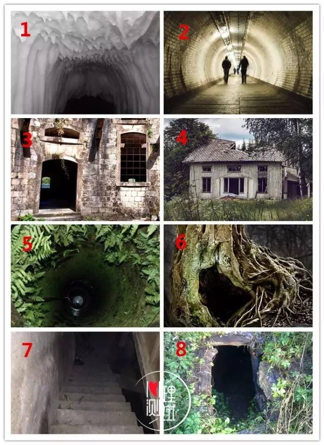 林芊妤与儿子 对于关注健康的林芊妤儿家庭