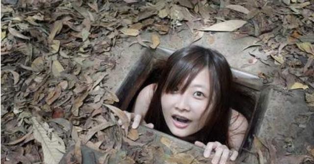 茄子视频在线观看视频在线高清 茄视清但茄子视频不用