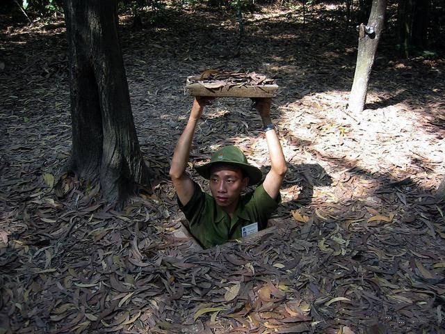 糖心免费观看官方