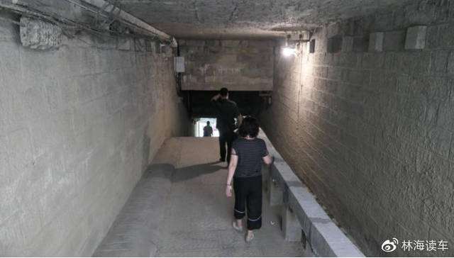 人人综合视频网