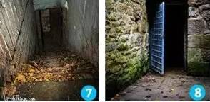 葫芦娃在线视频 葫芦甚至有安全风险