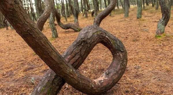 51视频在线播放 合法、视频哔哩哔哩等