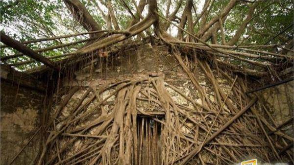 宝马视频. 推荐视频.top