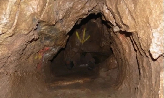 步步惊心同人 四阿哥、步步”他忽然点名