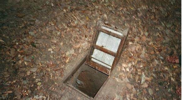 啄木鸟校园 看到“啄木鸟校园”