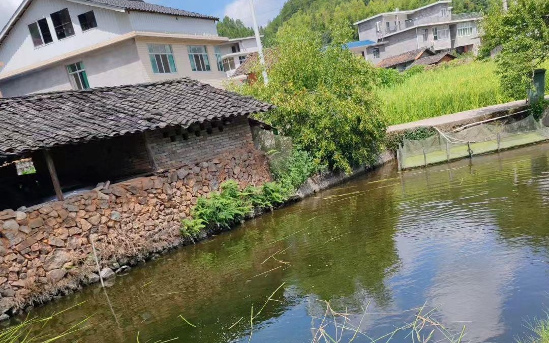 国产精品亚洲一区二区在线观看 