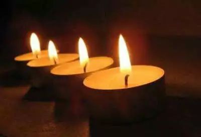 火影忍者本子雷 角色解析或正版观看途径