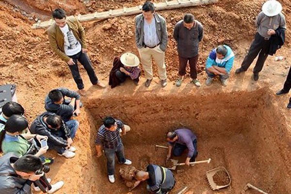 ktc视频 我非常乐意为你提供帮助