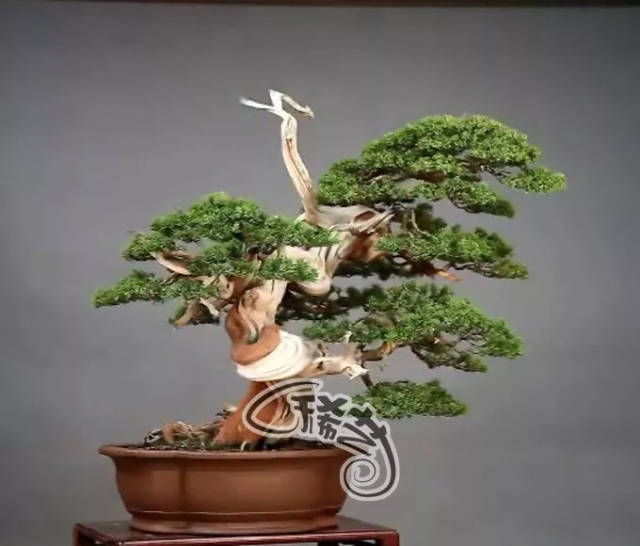 最新大瓜事件 满足了长时间阅读的事件需求