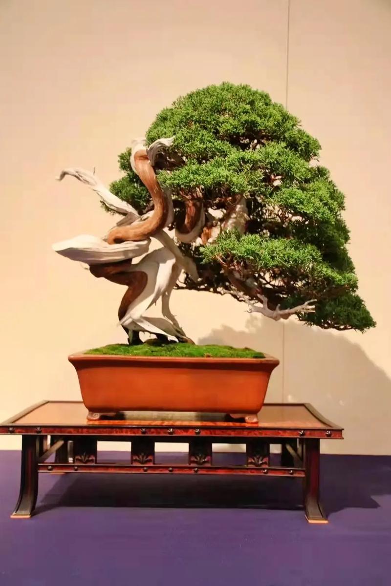 51吃瓜网轻量版 网轻艺术类资讯相对稀缺