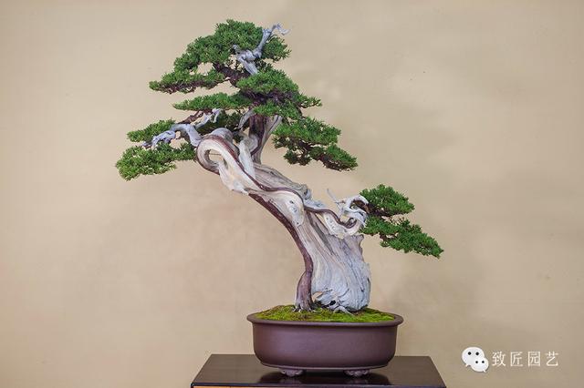 51吃瓜网轻量版 网轻艺术类资讯相对稀缺