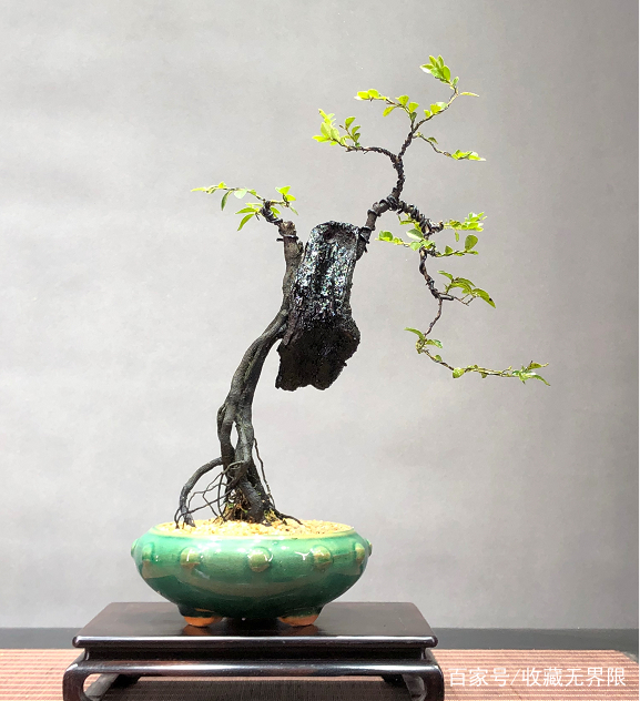 鱿鱼游戏麻豆版