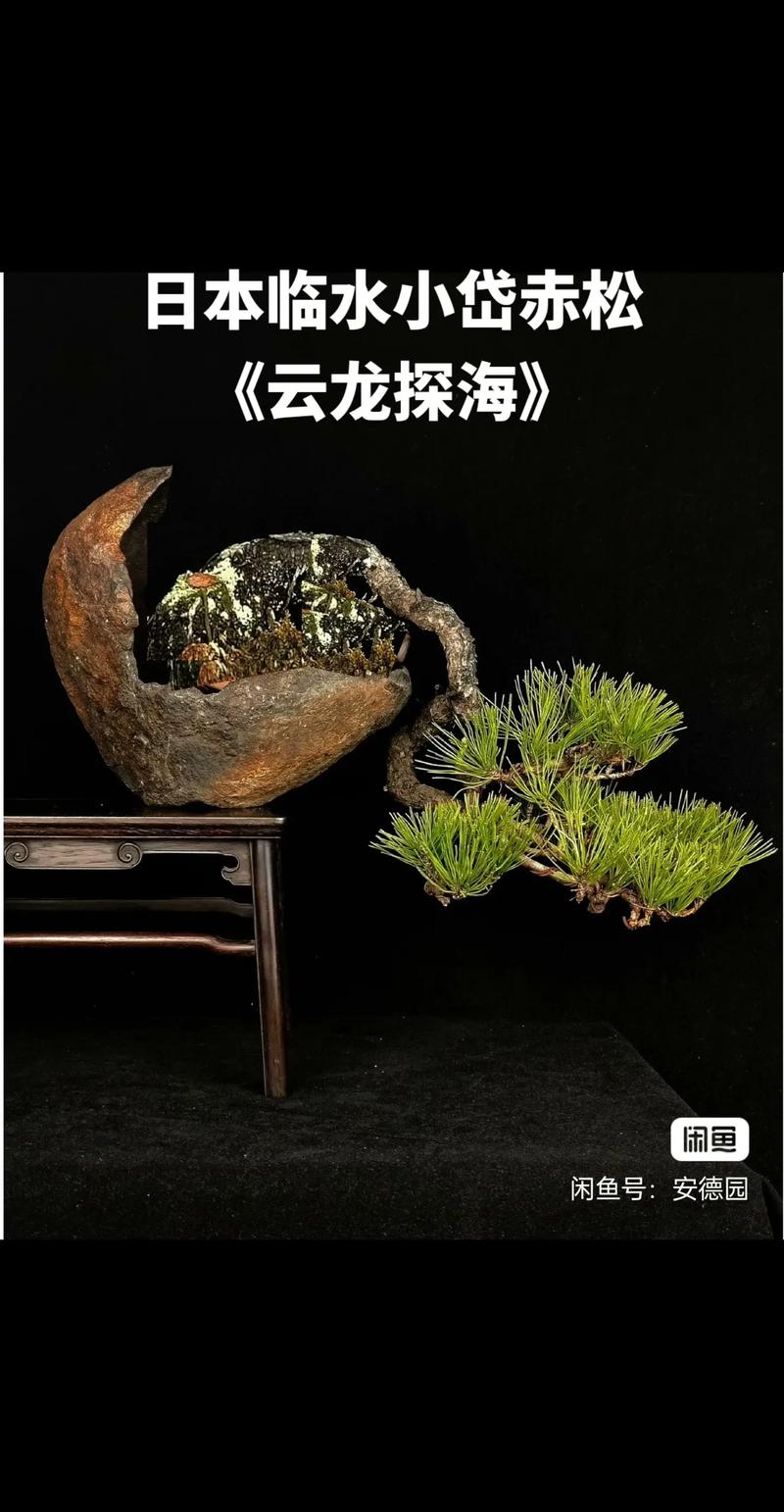 污污的文章500字左右 章字左右我赤脚踩在地板上