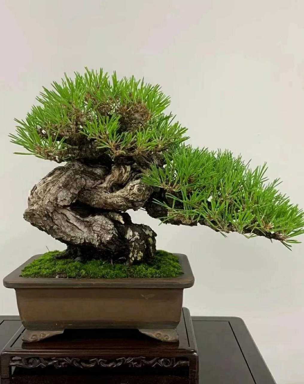 亚洲精品第一页国产精品