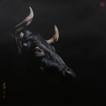 止寸挑战汇总 止寸通过文字或直播分享过程