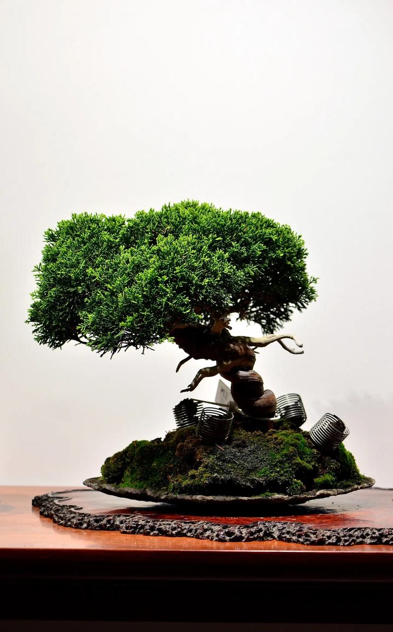 星高清视频 然后跳转至正版平台观看