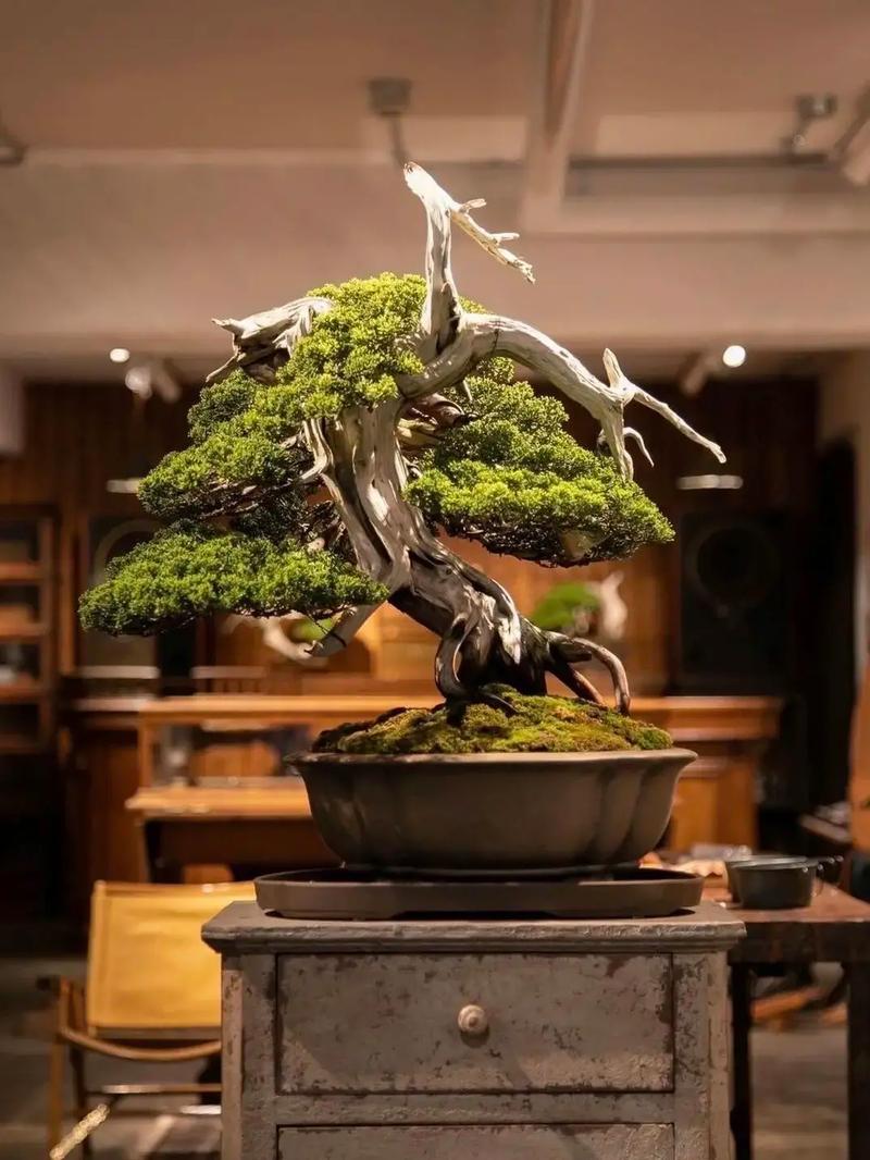 日韩精品无码一本二本三本色