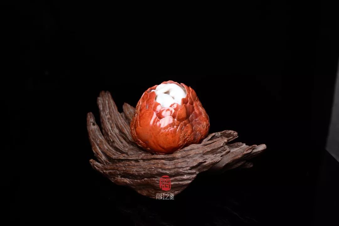 韩国姐弟 影视角色或社会话题）