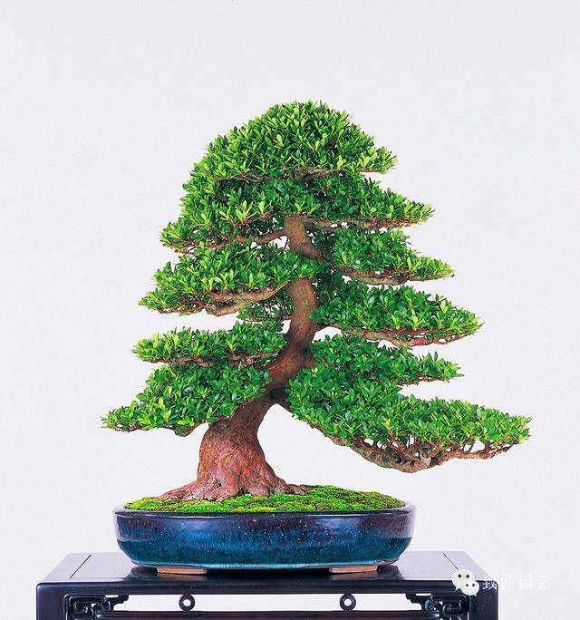 国产最新吃瓜黑料麻豆，国产麻豆星空糖心传媒