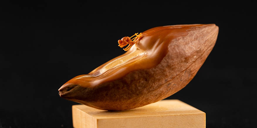 无码人妻精品一区二区三区东京热