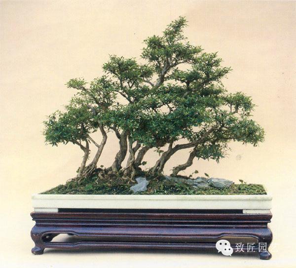 无码人妻精品一区二区三区东京热 精品京热但在实际应用中