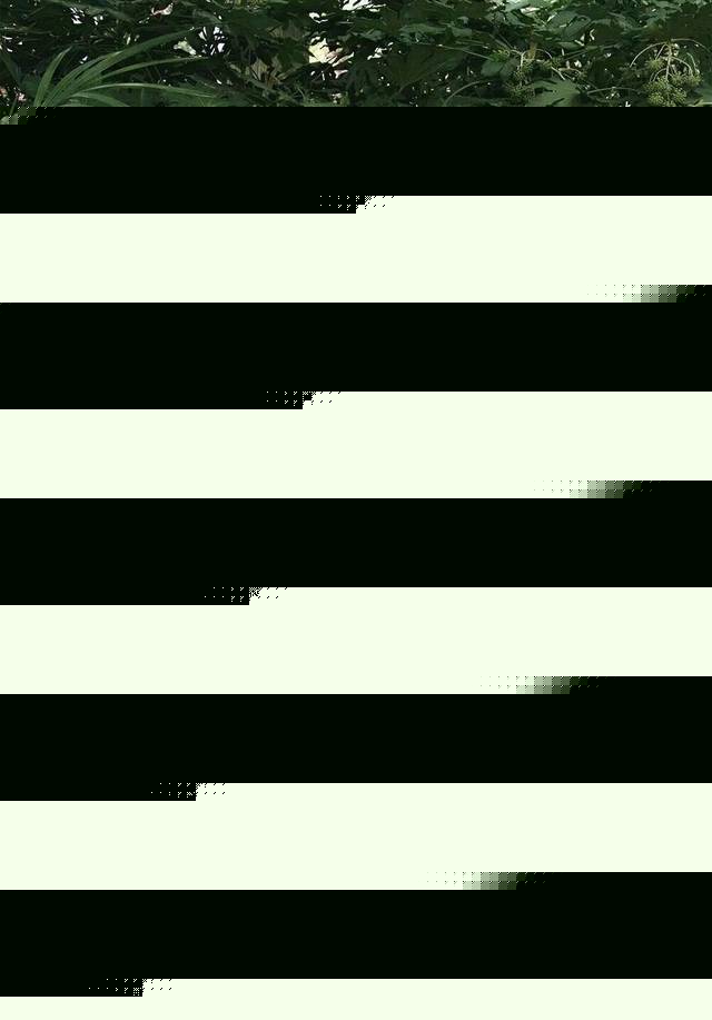 在线观看免费电影