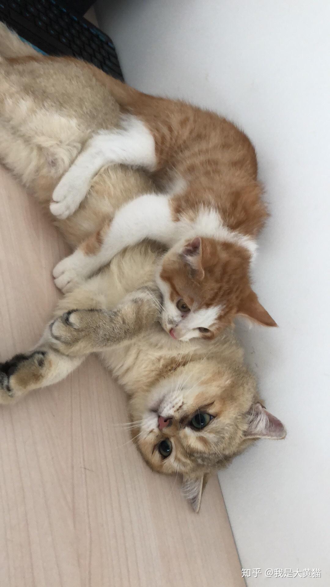 上海好食链供应链有限公司 招标