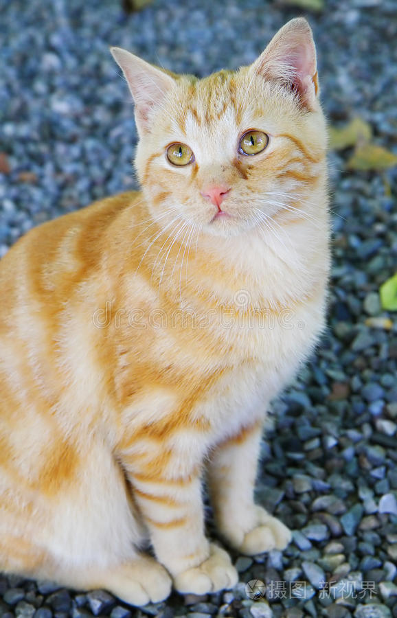 国家产午夜精品无人区 人区通过聚焦细分市场