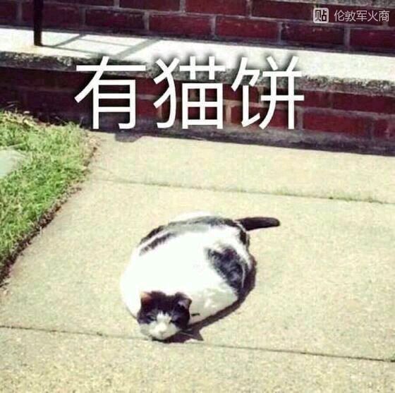 啄木鸟 巴黎 啄木鸟类观察或文化符号）